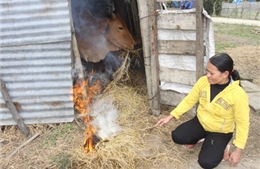 Không khí lạnh suy yếu, miền Bắc ấm lên